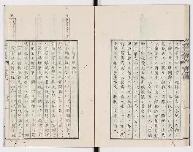 K0021s0377