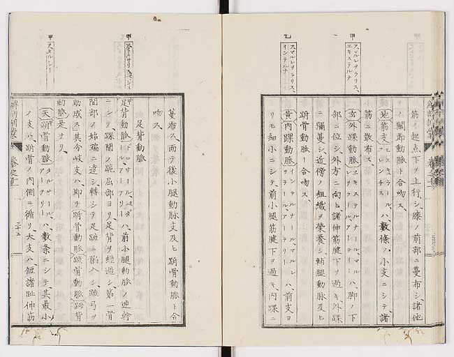 K0021s0378