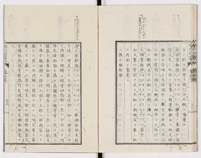 K0021s0379