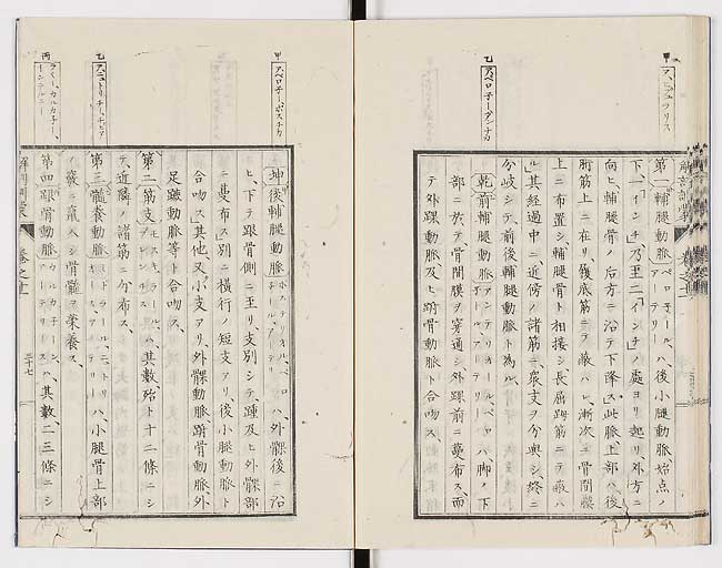 K0021s0380