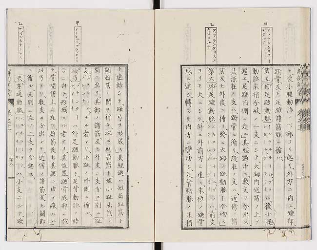 K0021s0381