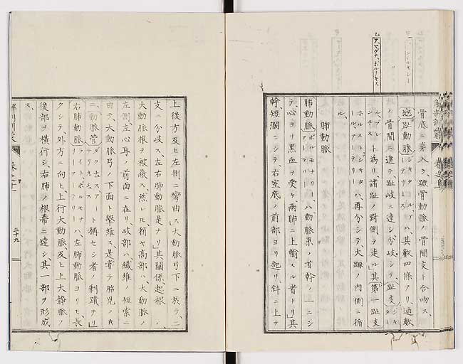 K0021s0382