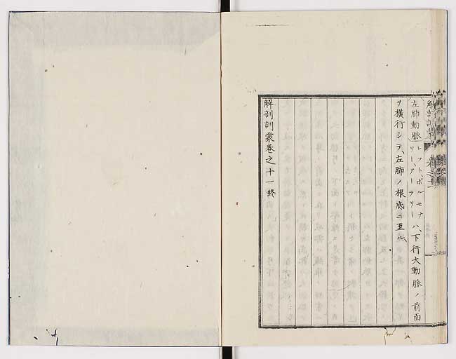 K0021s0383