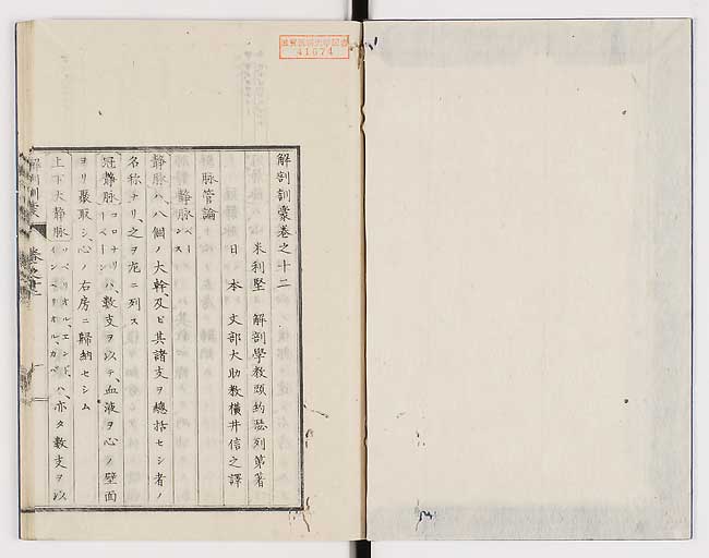 K0021s0386