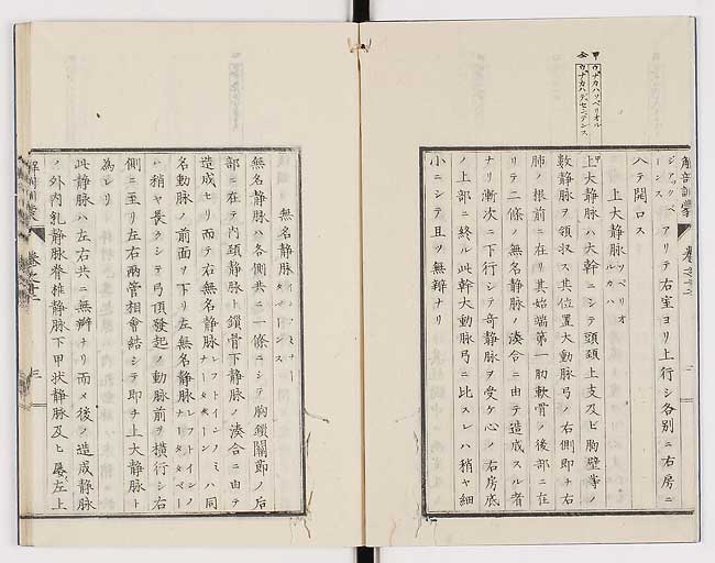 K0021s0388