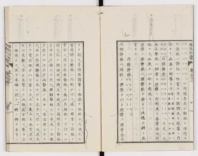 K0021s0390