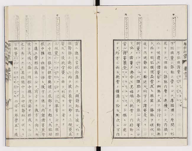 K0021s0391
