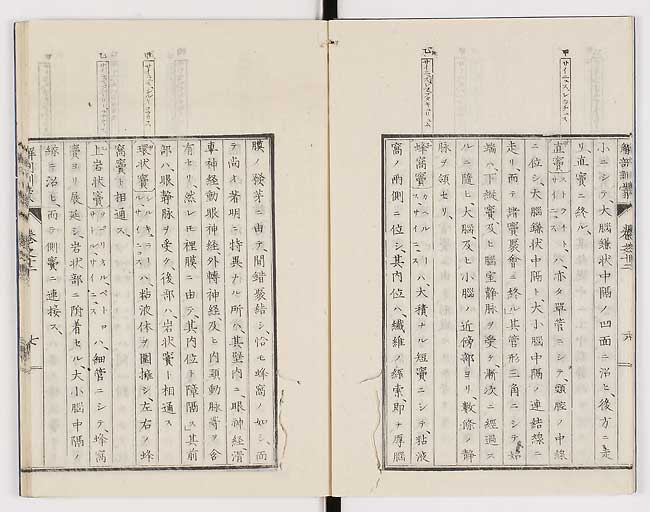 K0021s0392