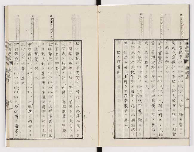 K0021s0393