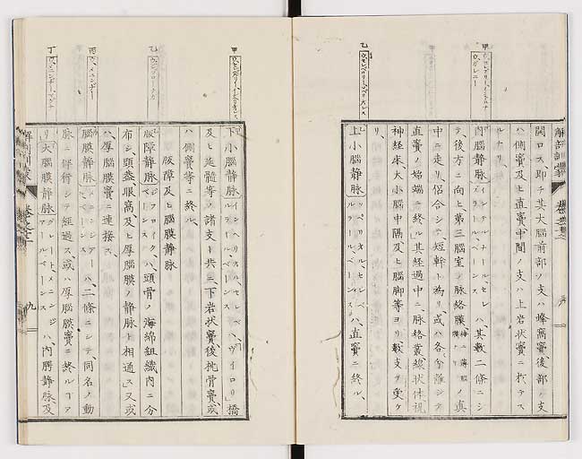 K0021s0394