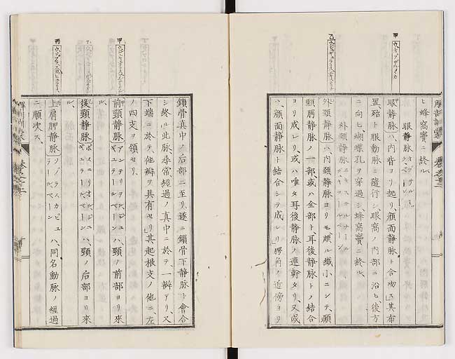 K0021s0395