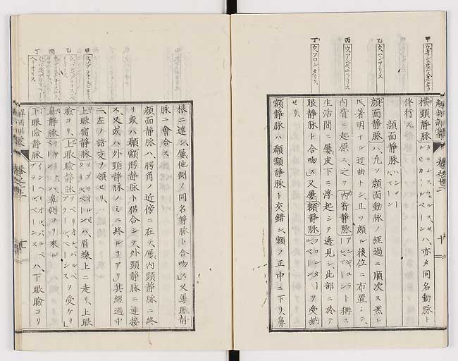 K0021s0396