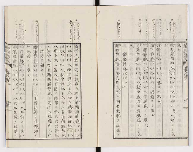 K0021s0397