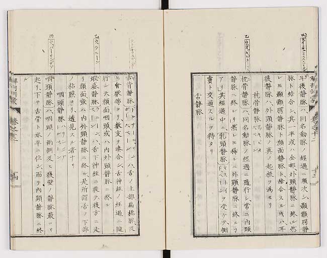 K0021s0399