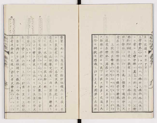 K0021s0401