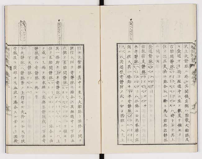 K0021s0404
