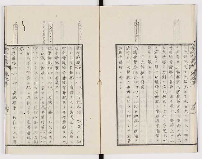 K0021s0405