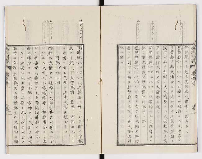 K0021s0406