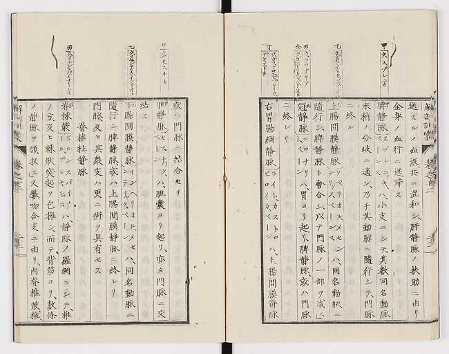 K0021s0407