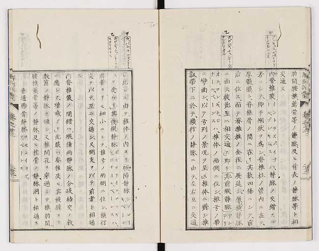 K0021s0408