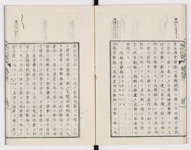 K0021s0409