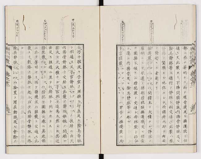 K0021s0410