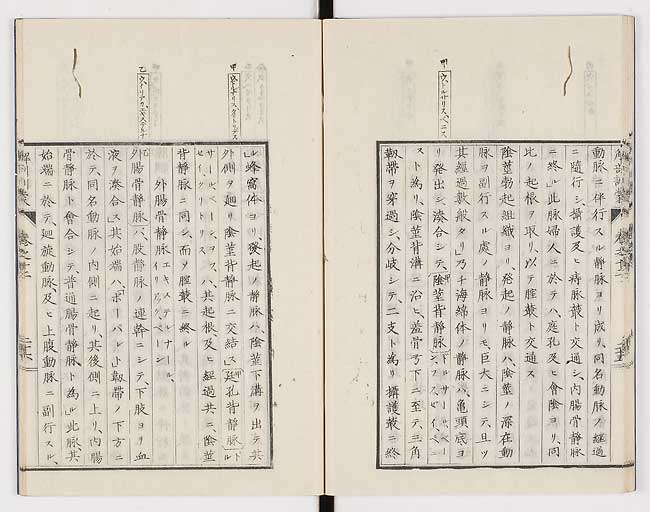 K0021s0411