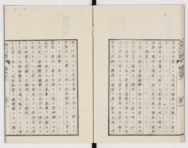 K0021s0415