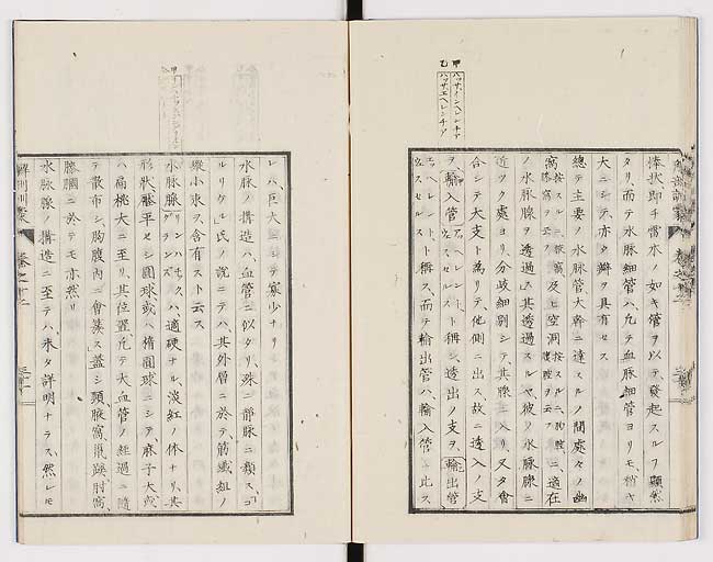 K0021s0416