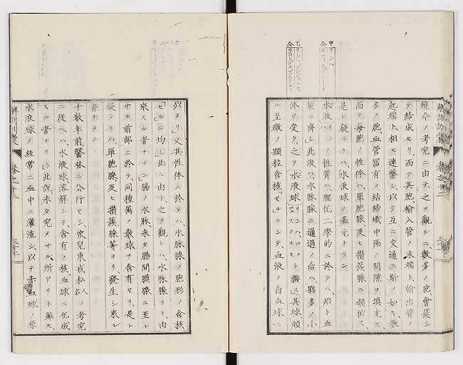K0021s0417