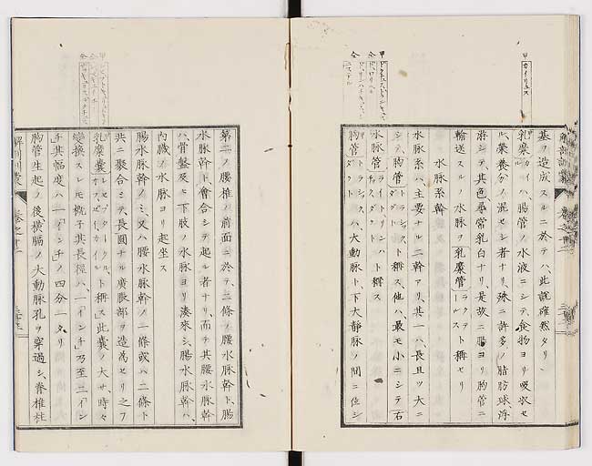K0021s0418