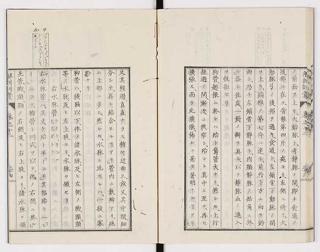 K0021s0419