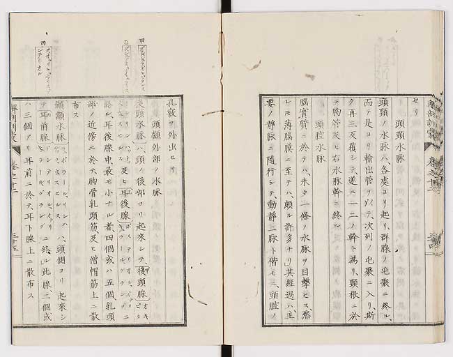 K0021s0420