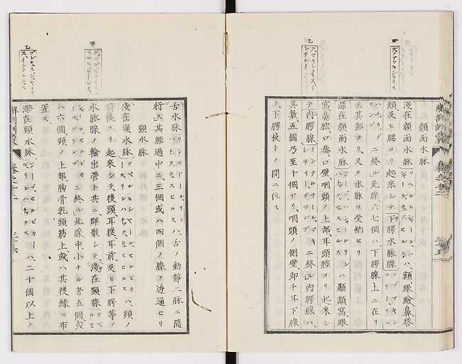 K0021s0421