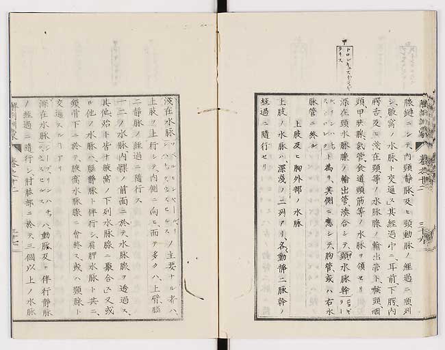 K0021s0422