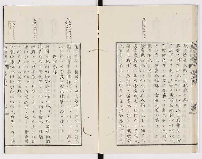 K0021s0423
