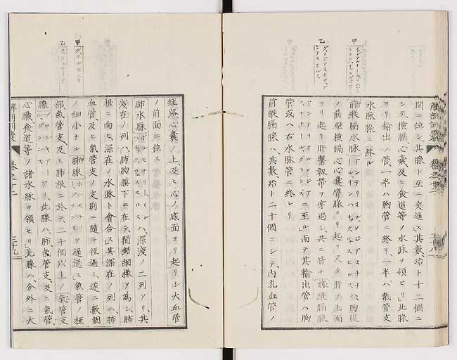 K0021s0424