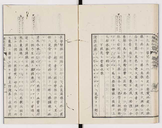 K0021s0425