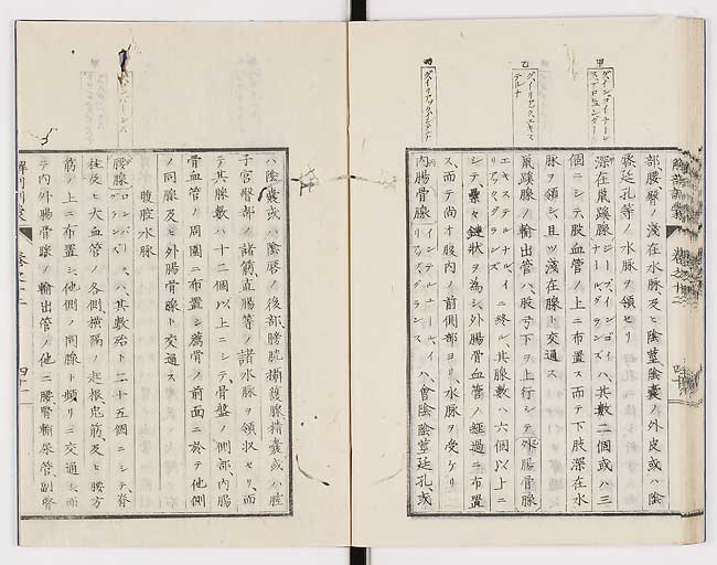 K0021s0426