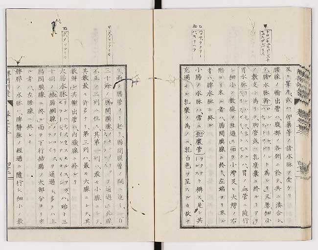 K0021s0427