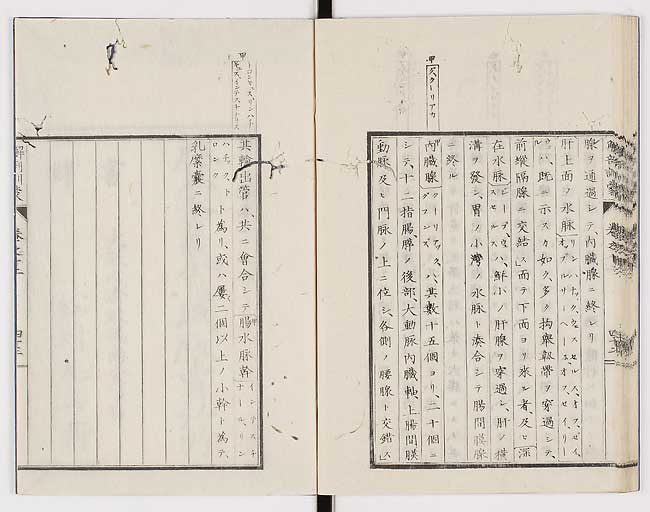 K0021s0428