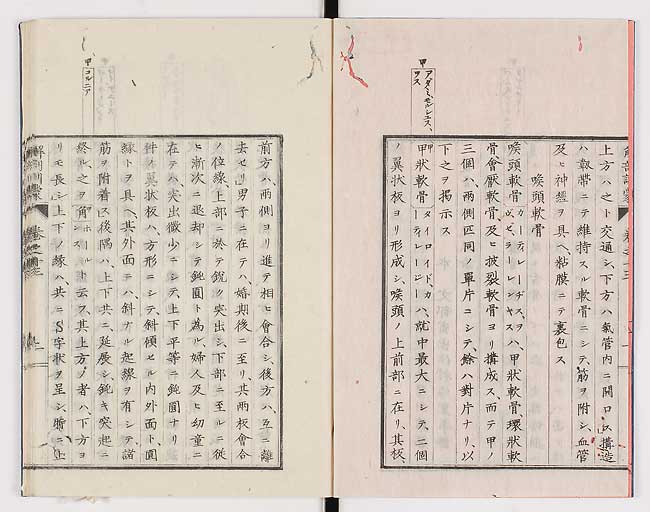 K0021s0433