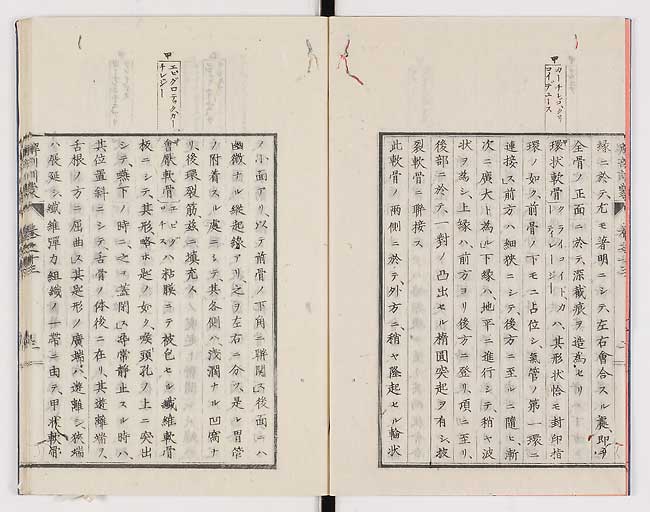K0021s0434