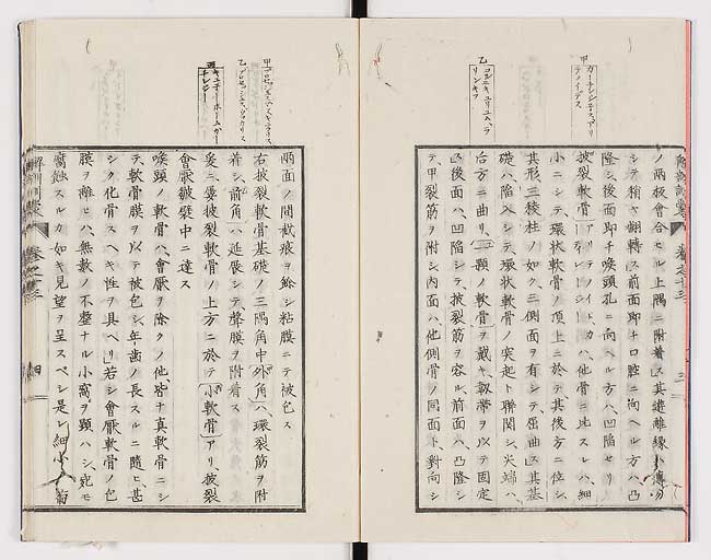 K0021s0435