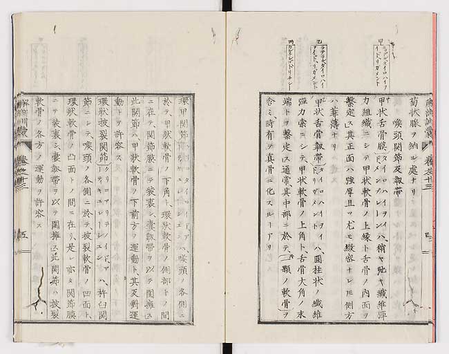 K0021s0436