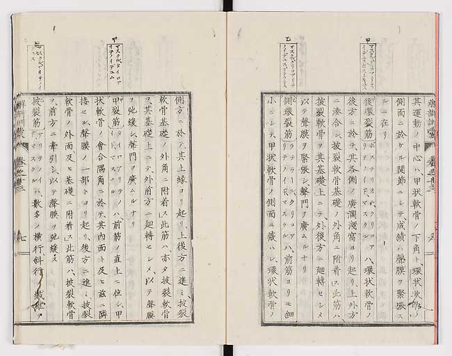 K0021s0438