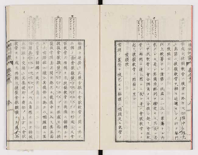 K0021s0439