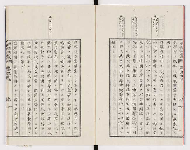 K0021s0440