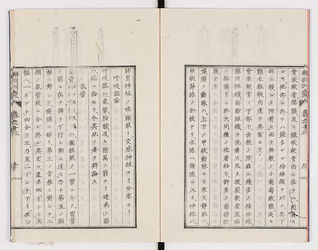 K0021s0441