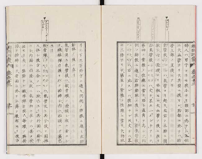 K0021s0442